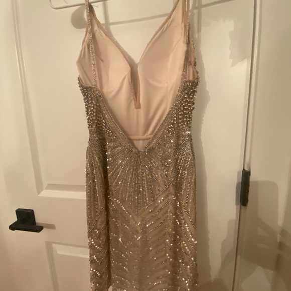 Prom/Formal Dress - Picture 2 of 5